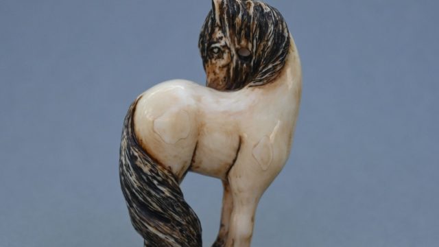 Standing Horse back
