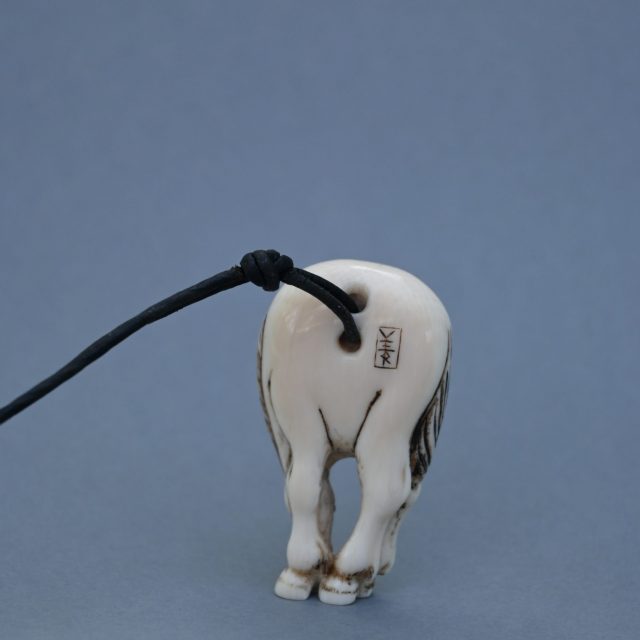 Grazing Horse Back