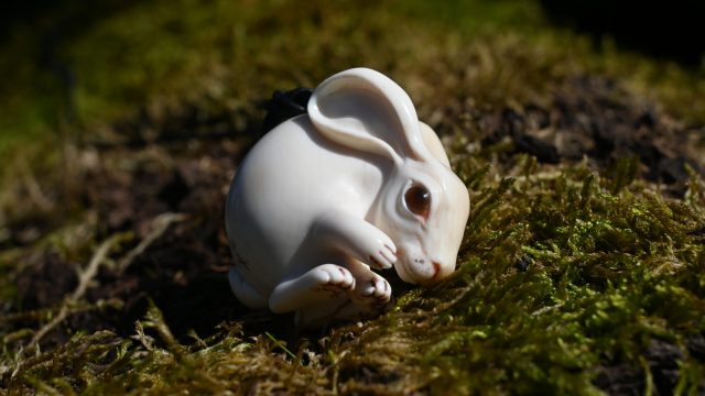 Hare front