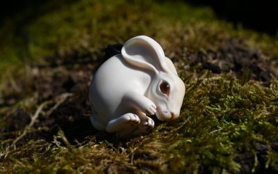 Hare front
