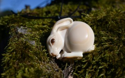 Hare back
