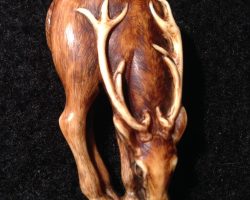 Deer front