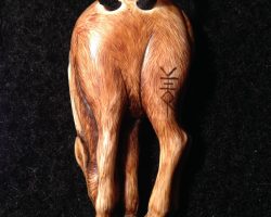 Deer back