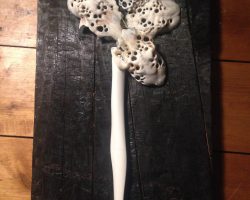 Forest 1