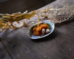 zwei kleine geschnitzte Menschenschädel in einer Muschelschale mit dekorativem Beiwerk
